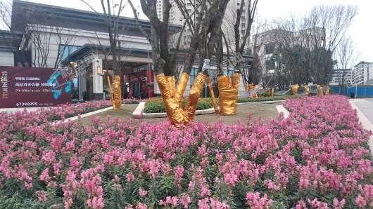 华侨城嘉陵江天实景图
