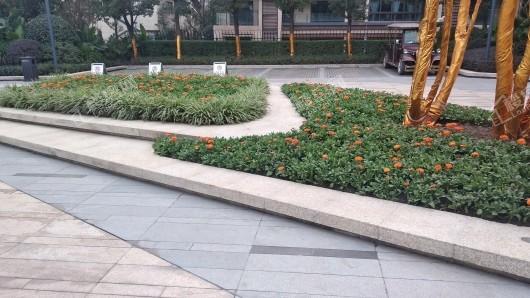 华侨城嘉陵江天实景图