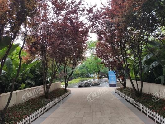 华侨城嘉陵江天实景图