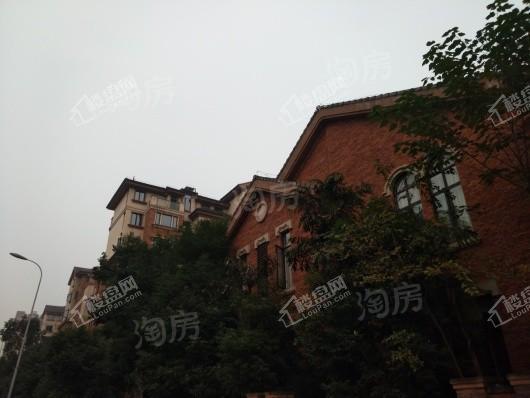 康田栖樾实景图