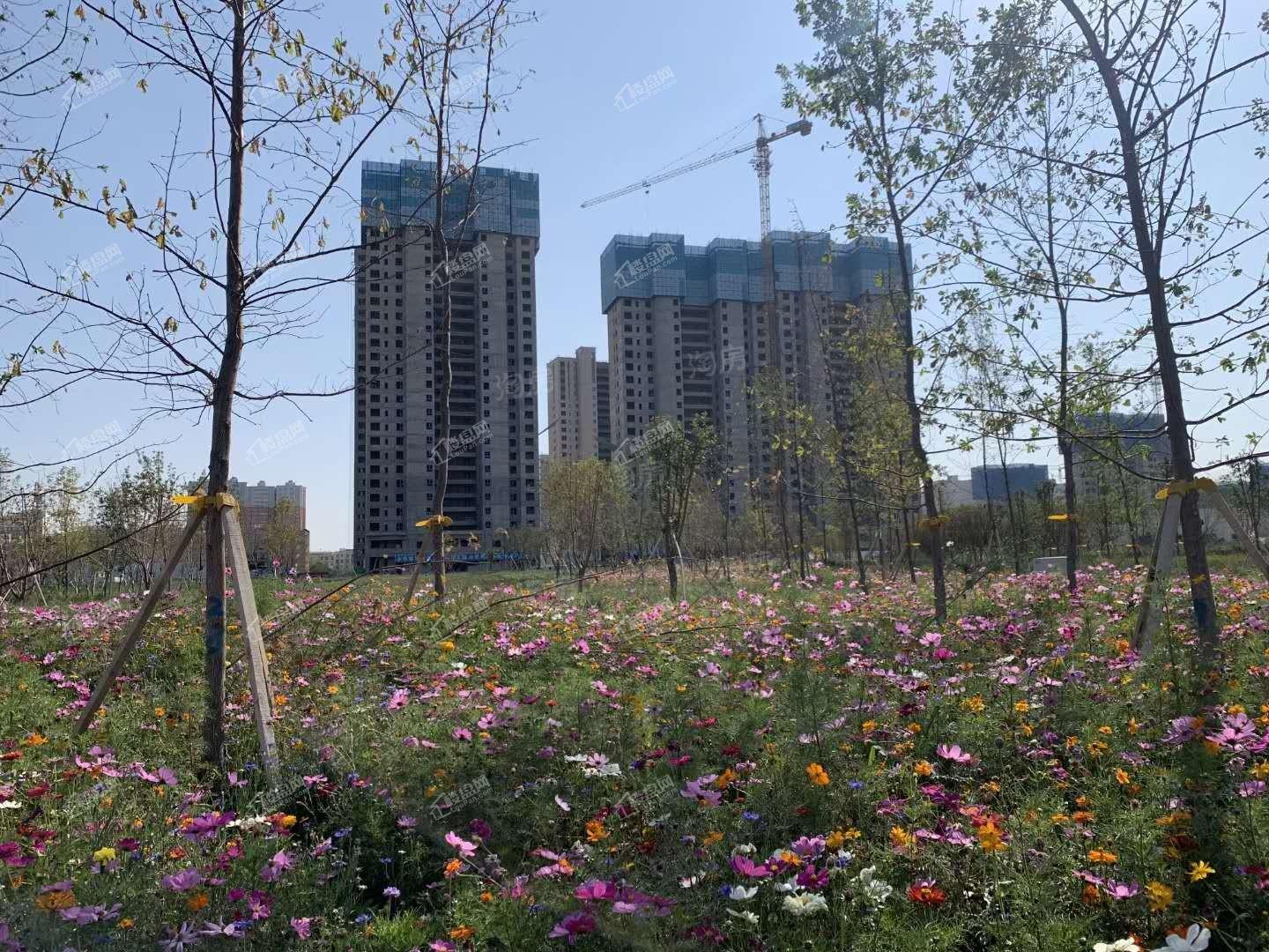 碧桂园天誉实景图