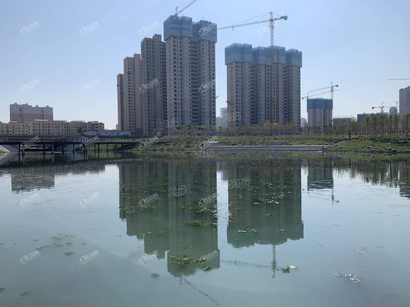 碧桂园天誉实景图