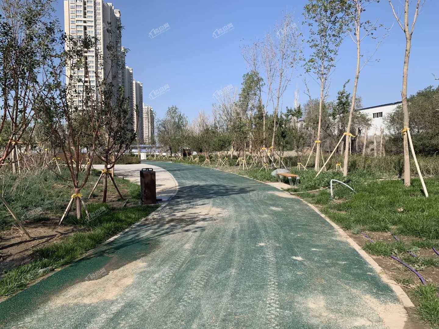碧桂园天誉实景图