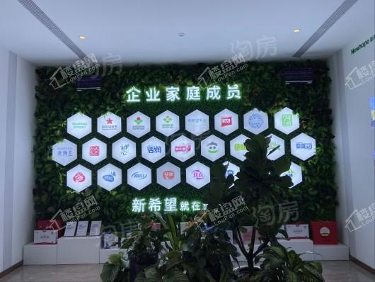 新希望锦麟河院实景图