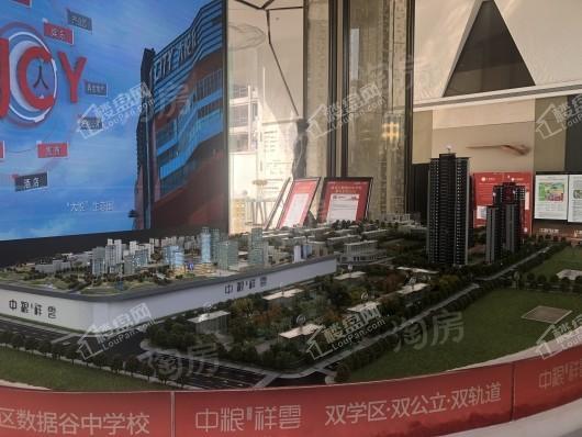 中粮·中央公园祥云实景图