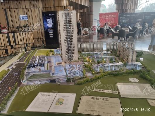 龙湖春江天镜实景图