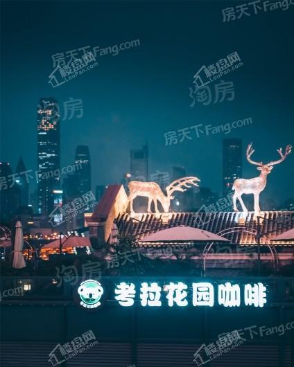 长嘉汇两江峯实景图