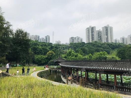 中海天钻配套图