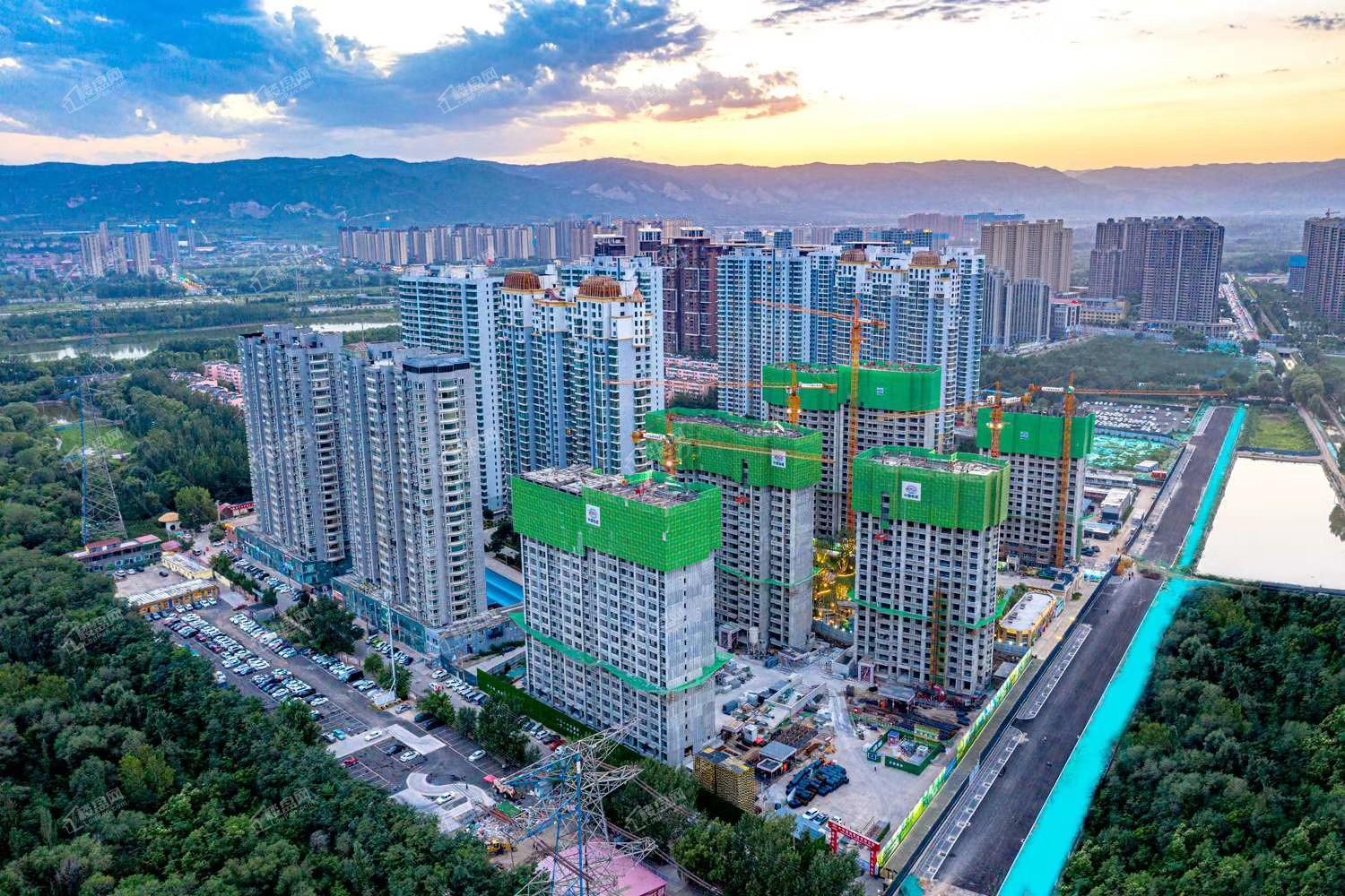 恒大森林海实景图