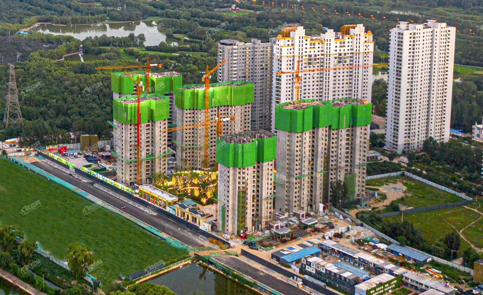 恒大森林海实景图