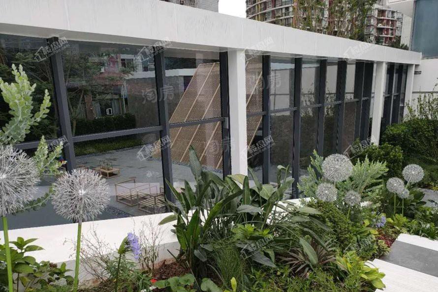 海纳九龙实景图