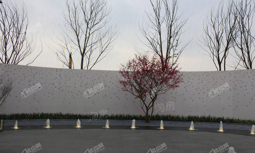 实景图
