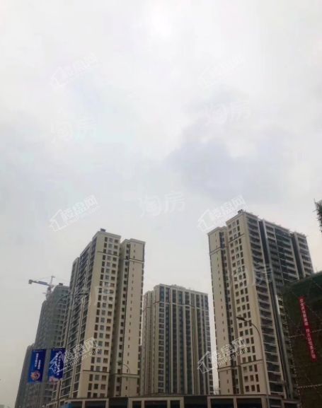 美的金科郡实景图