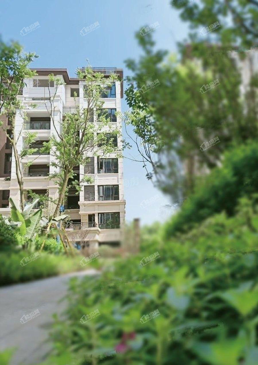 西海岸凯悦实景图