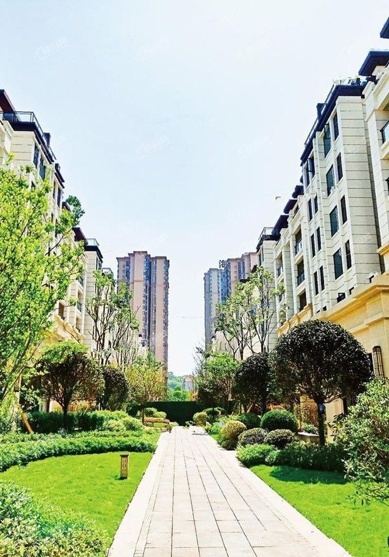 西海岸凯悦实景图