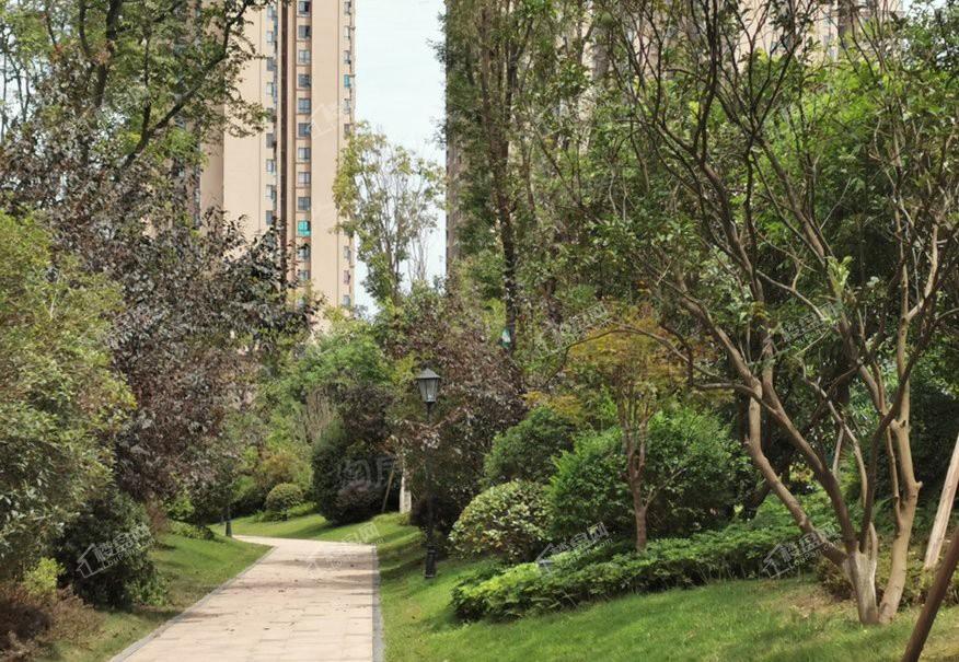 西海岸凯悦实景图