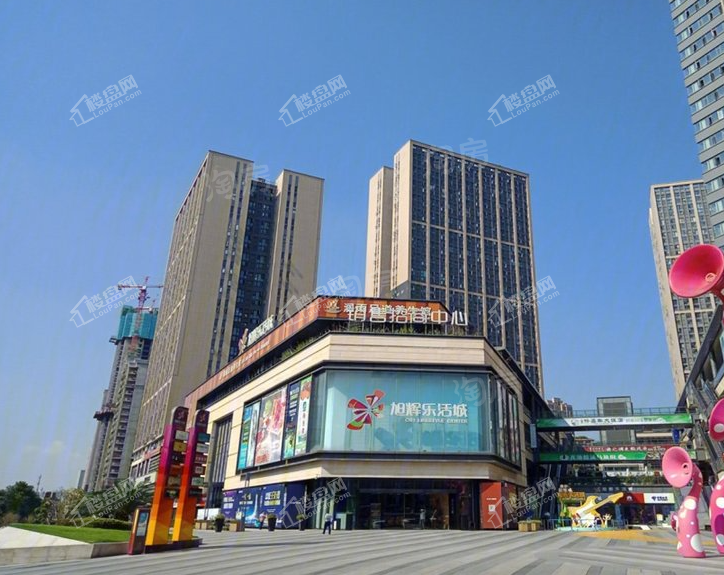 电建洺悦城配套图