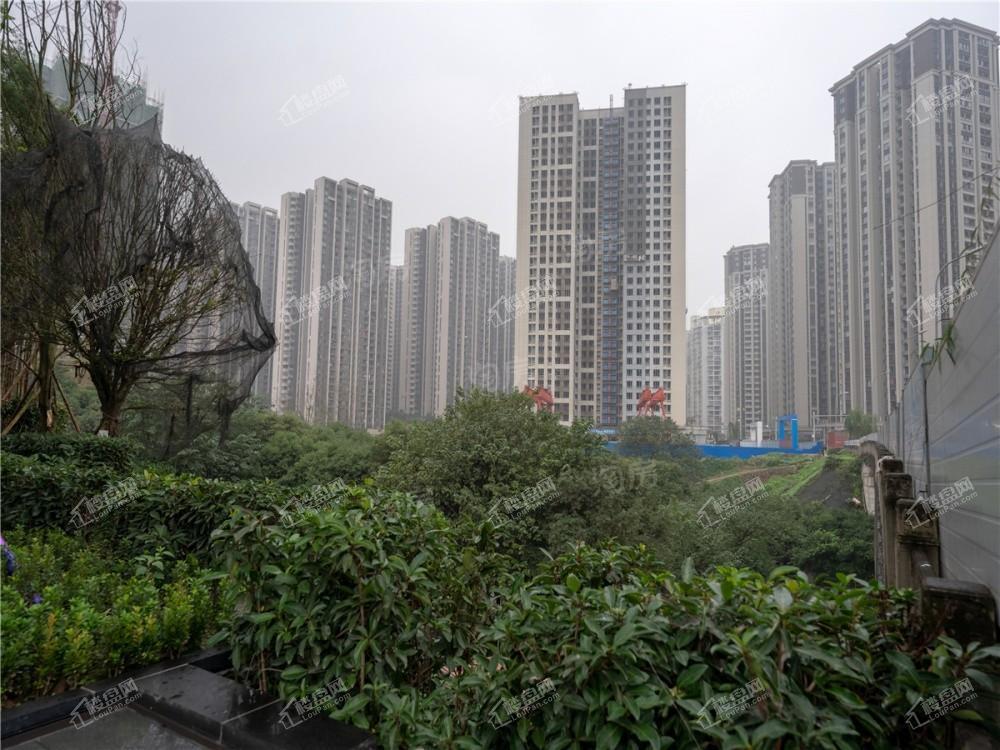 电建洺悦府实景图