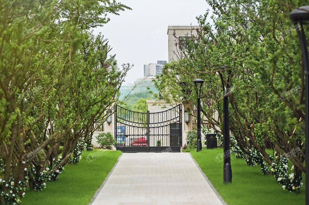 万科御澜道滨江组团实景图