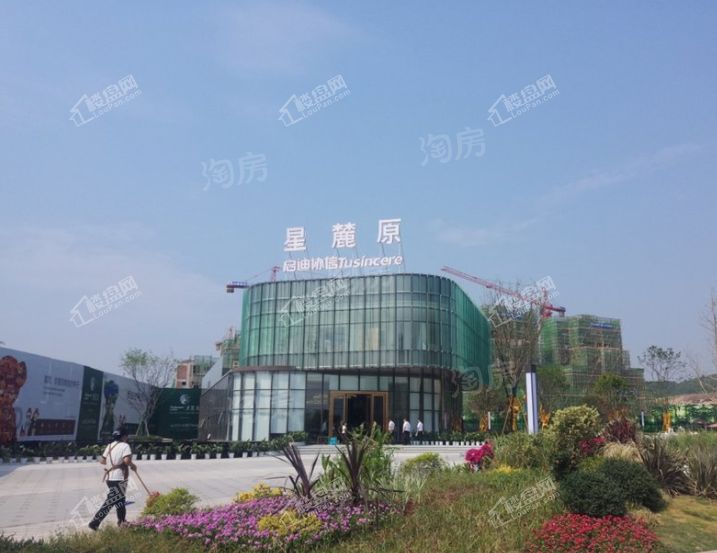 协信星麓原实景图