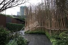 重庆洺悦国际实景图