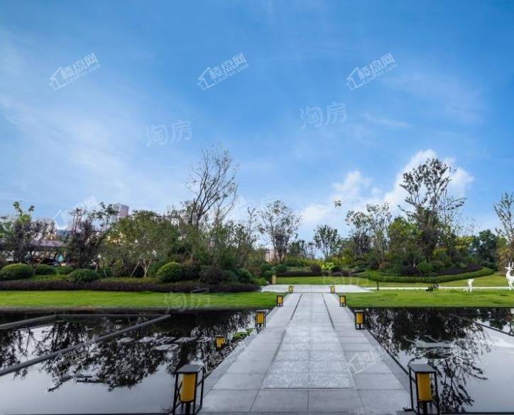 保亿湖山鹿鸣实景图
