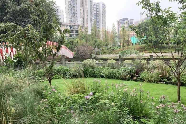 雅居乐九龙雅郡实景图