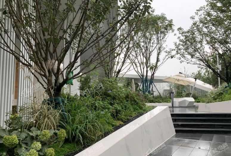 雅居乐九龙雅郡实景图