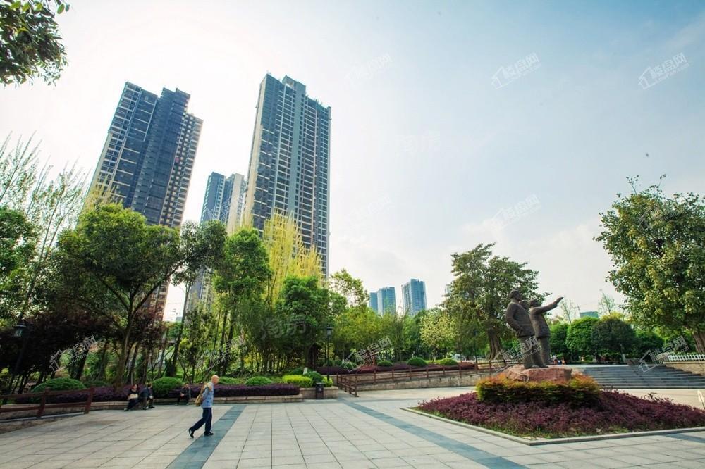 实景图