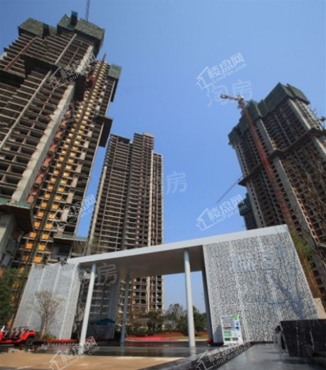 天安数码城江畔珑园实景图