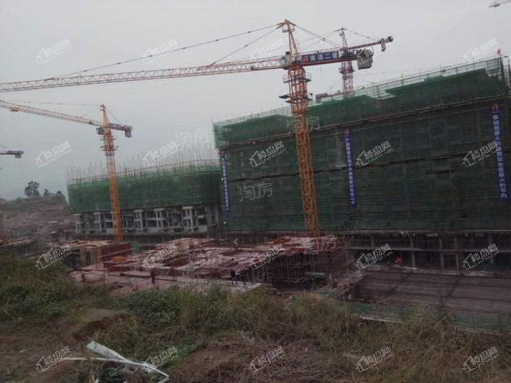 金科集美嘉悦实景图