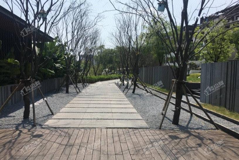 中交漫山大隐实景图