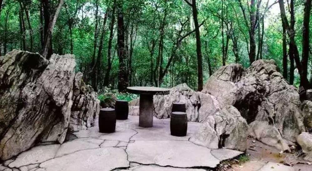 山城小院配套图