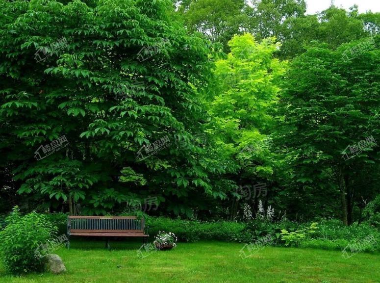 山城小院配套图