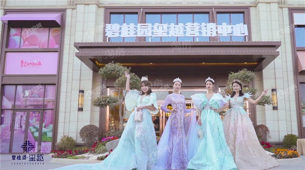 碧桂园玺越效果图