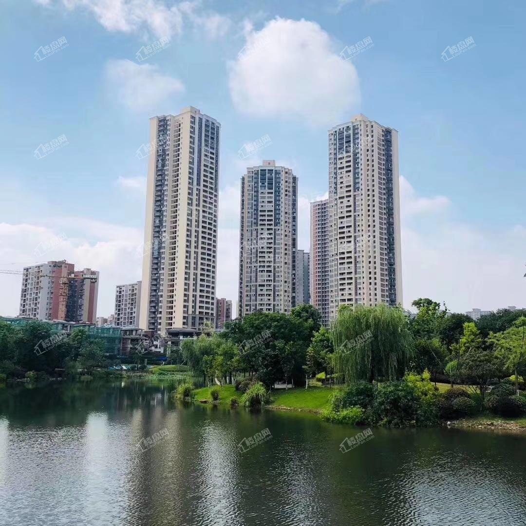 中建御湖壹号实景图