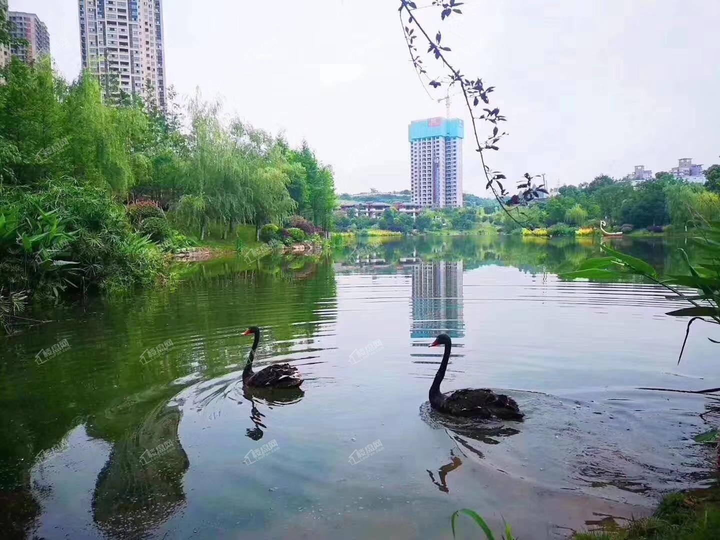 中建御湖壹号实景图