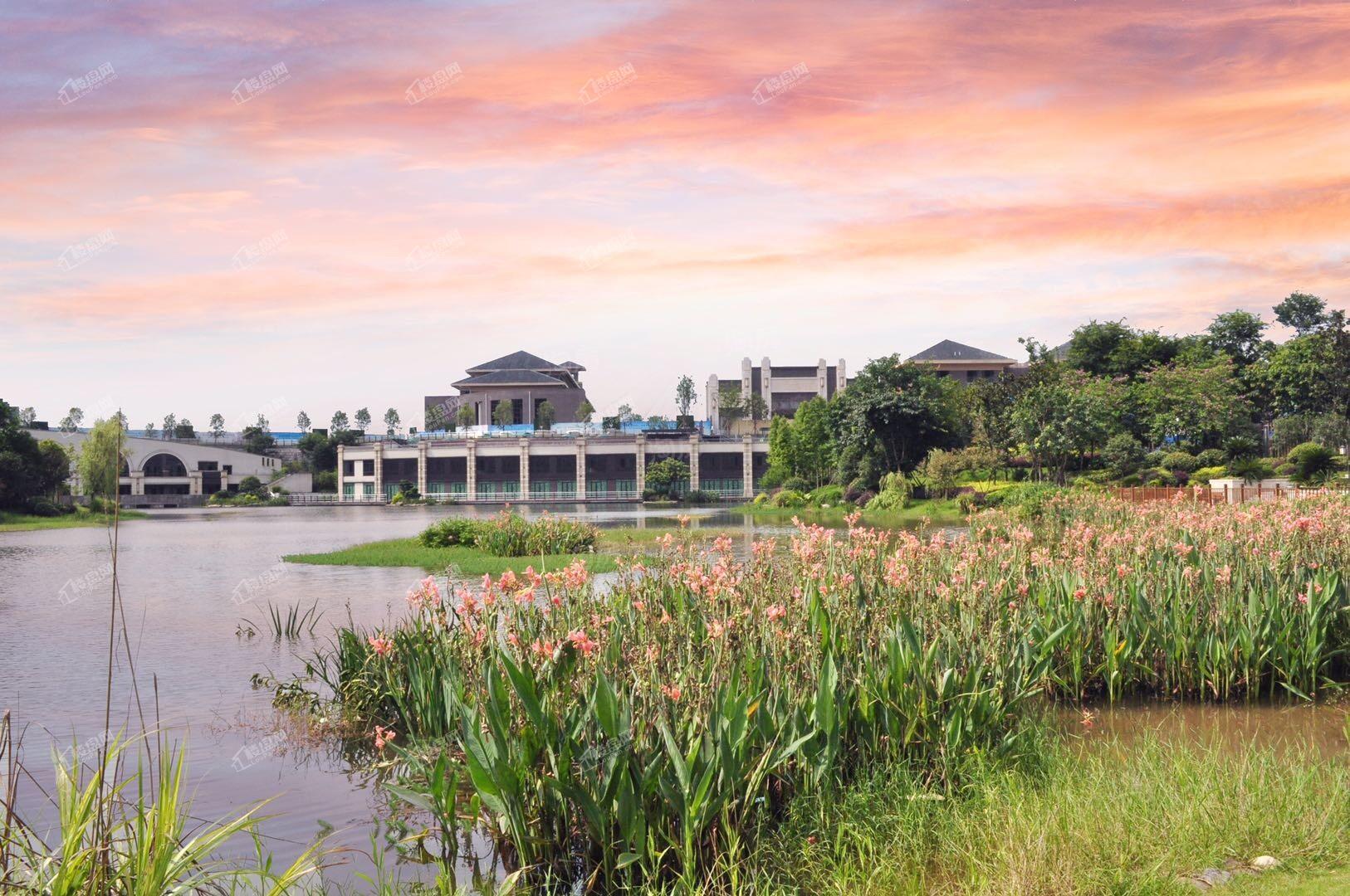 中建御湖壹号实景图