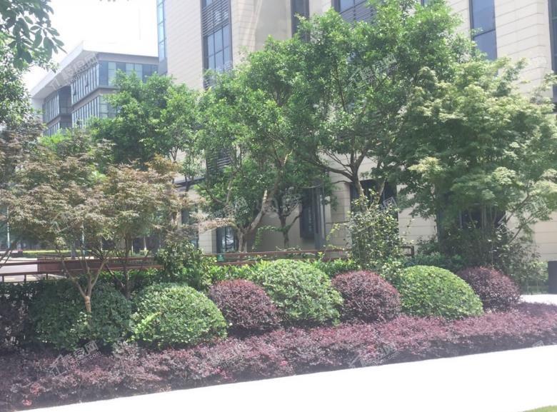 康田西宸中心实景图