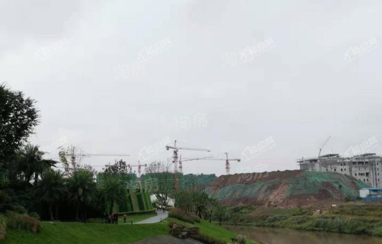 西阅星辰实景图
