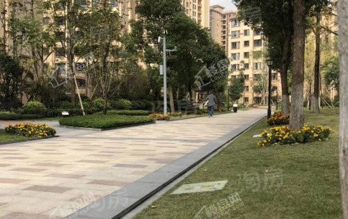 书香溪墅实景图