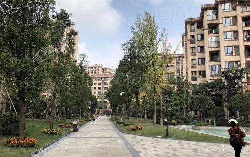 书香溪墅实景图