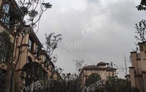书香溪墅实景图