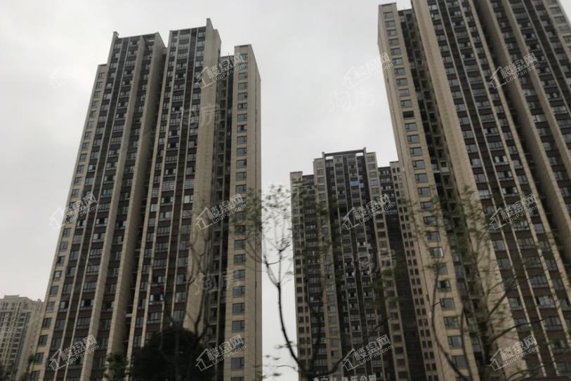 宝科鱼乐公园实景图
