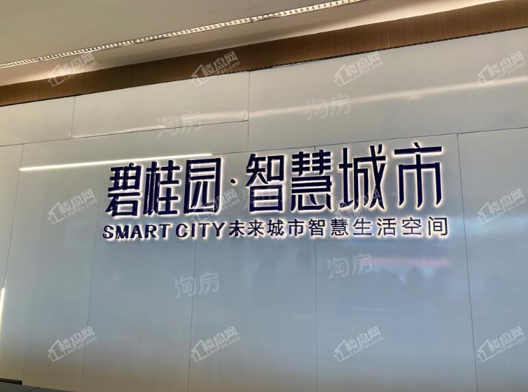 碧桂园·智慧城市实景图