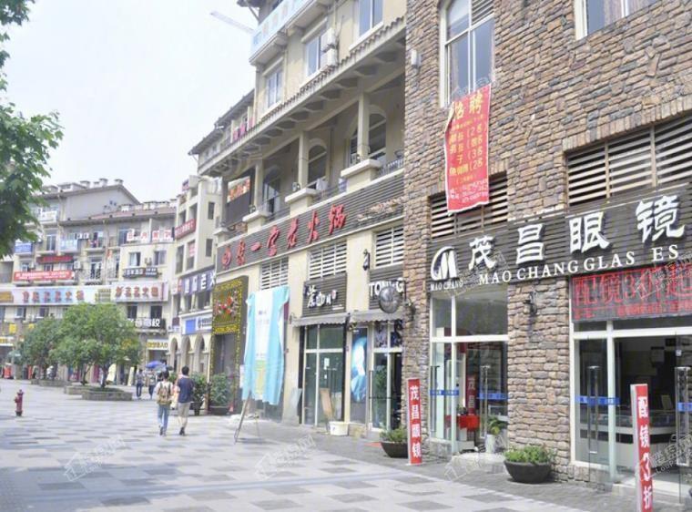 龙湖开元配套图