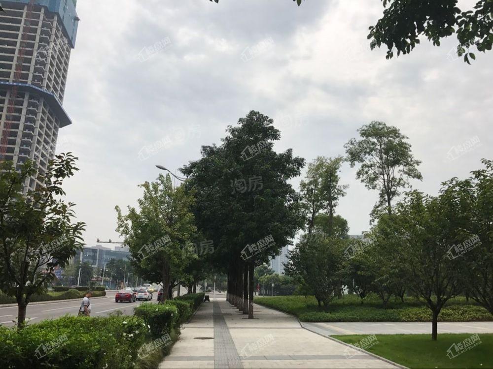 信达国际实景图