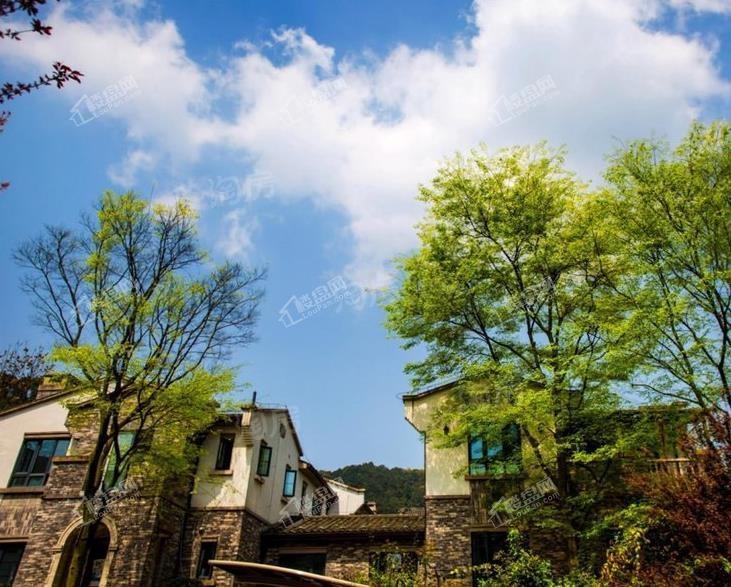 碧桂园海昌南山澜实景图