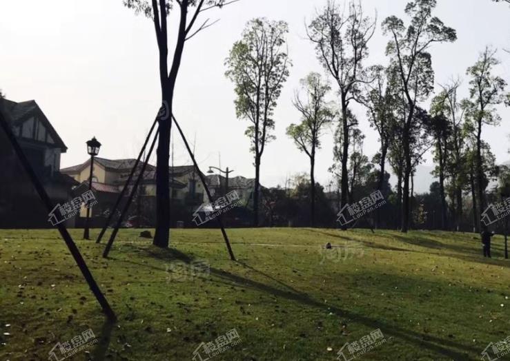 庆隆南山国际社区实景图