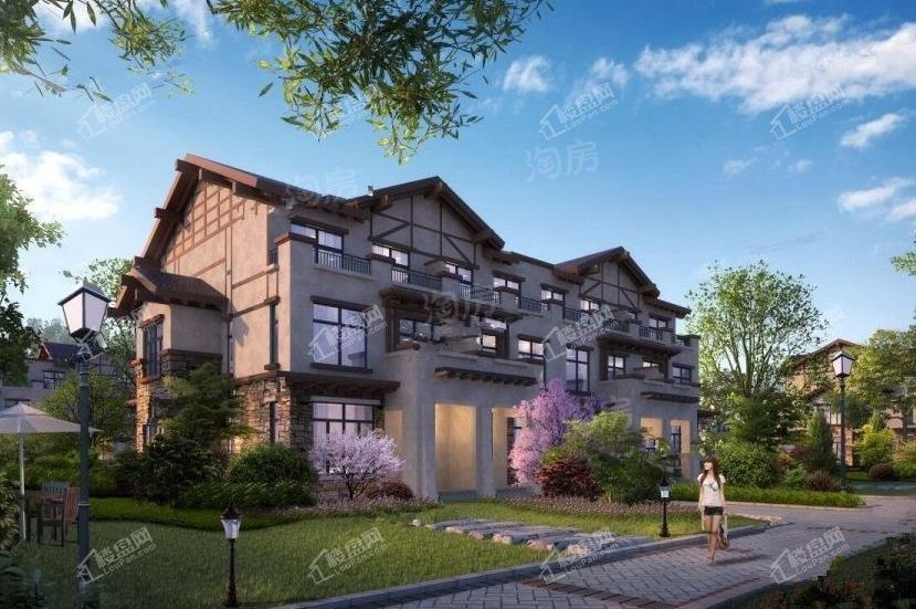 庆隆南山国际社区效果图